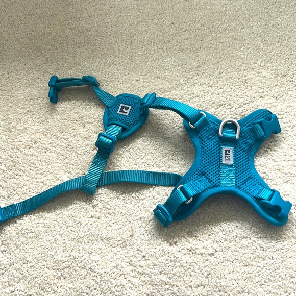 Harness & Leash set - Picture 3 of 6